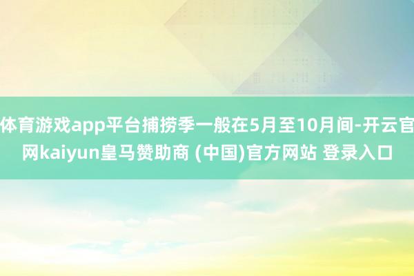 体育游戏app平台捕捞季一般在5月至10月间-开云官网kaiyun皇马赞助商 (中国)官方网站 登录入口