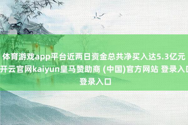 体育游戏app平台近两日资金总共净买入达5.3亿元-开云官网kaiyun皇马赞助商 (中国)官方网站 登录入口