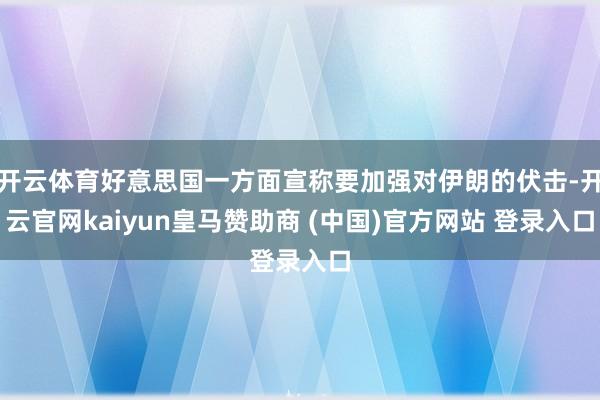 开云体育好意思国一方面宣称要加强对伊朗的伏击-开云官网kai