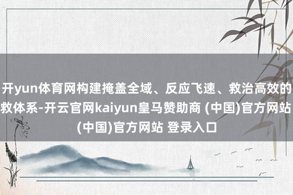 开yun体育网构建掩盖全域、反应飞速、救治高效的立体化搭救体